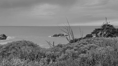 Reliable Long-Range Multi-Link Communication for Unmanned Search and Rescue Aircraft Systems in Beyond Visual Line of Sight Operation featured image